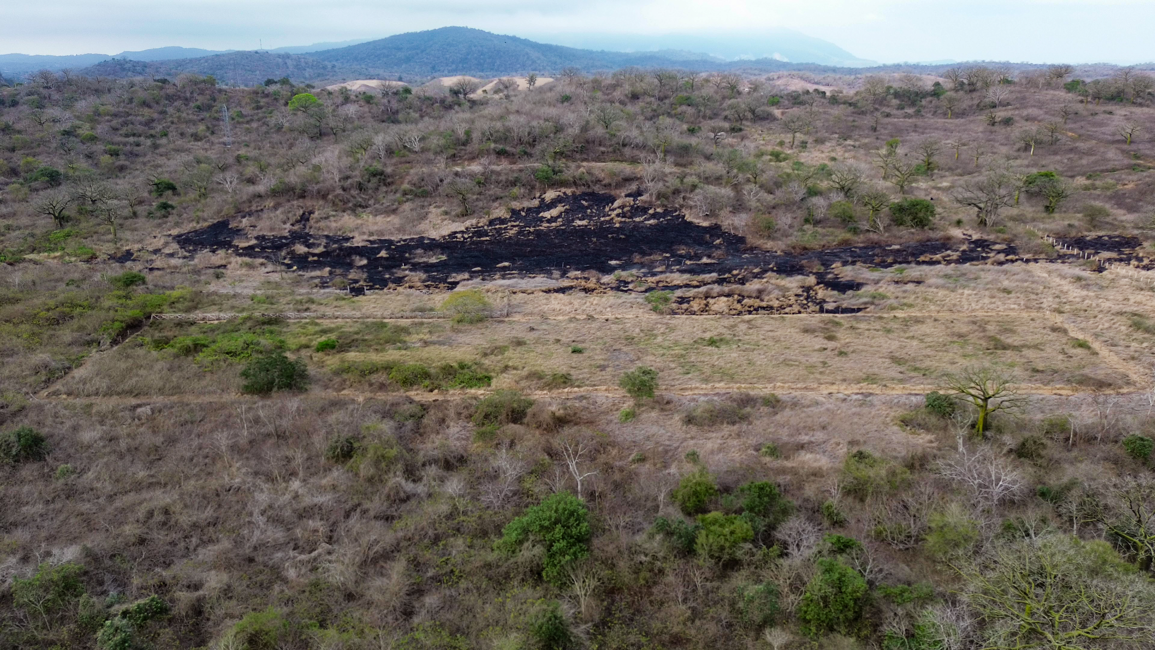 Terreno La Pila 7