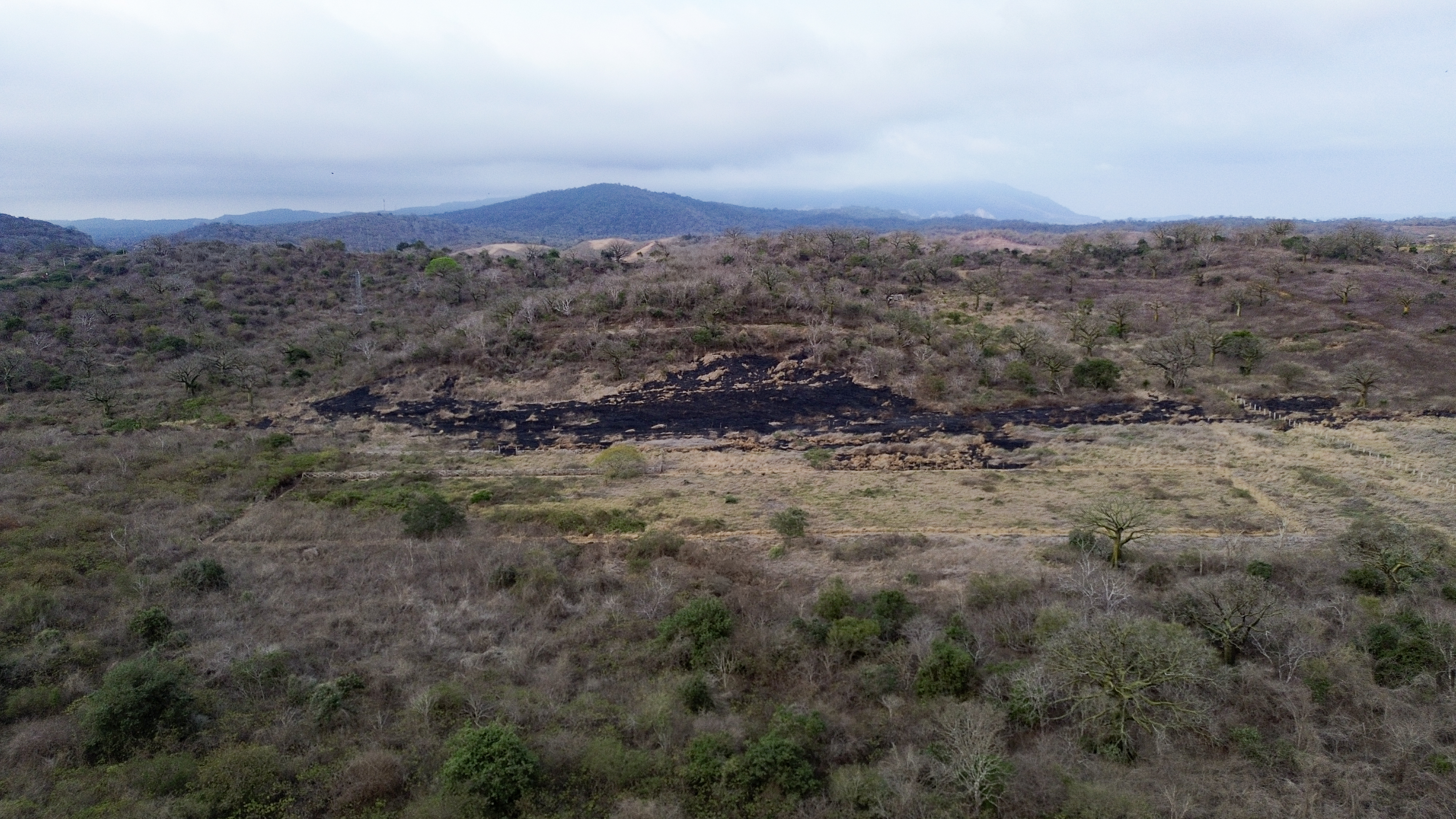 Terreno La Pila 6