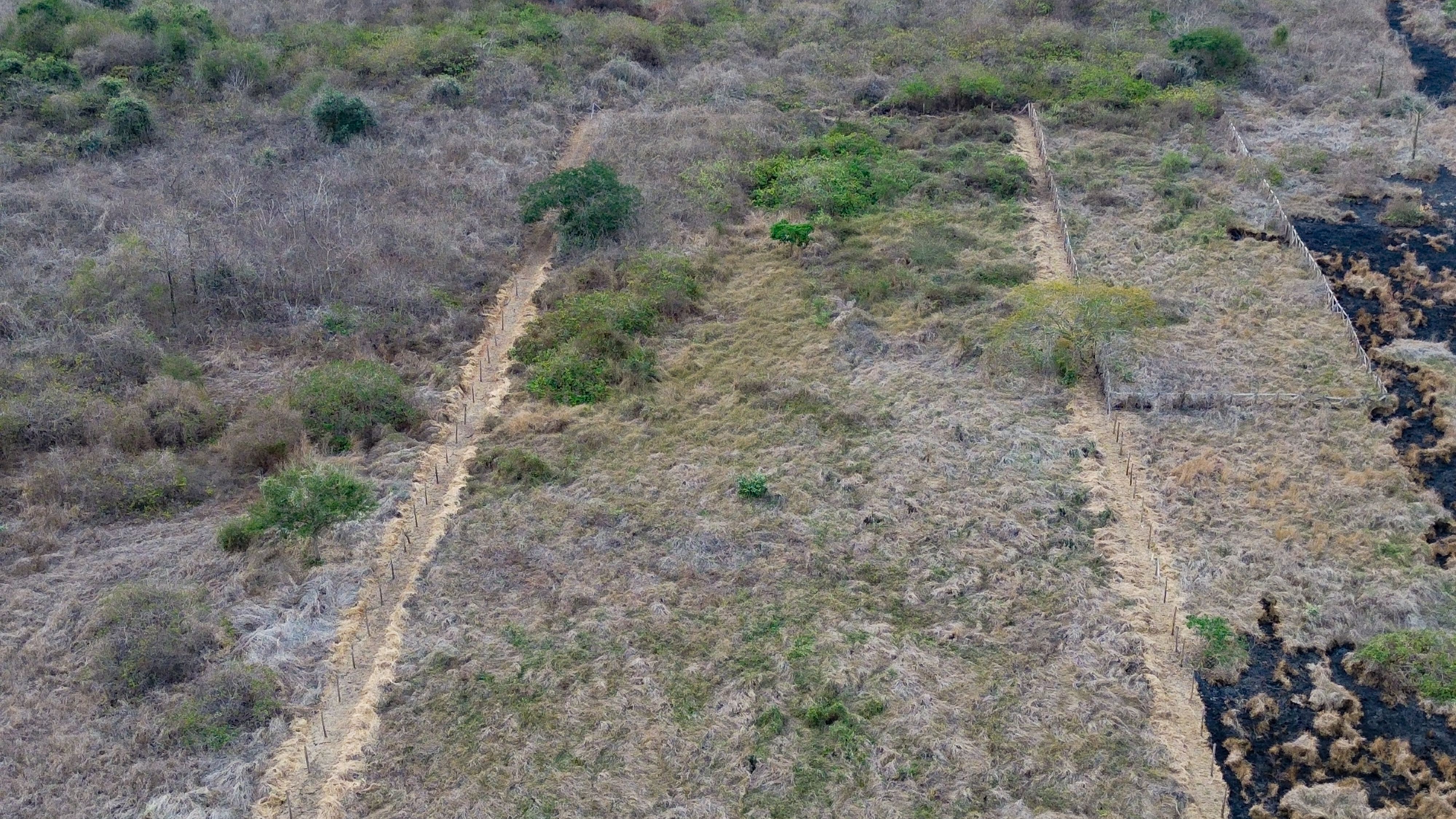 Terreno La Pila 4