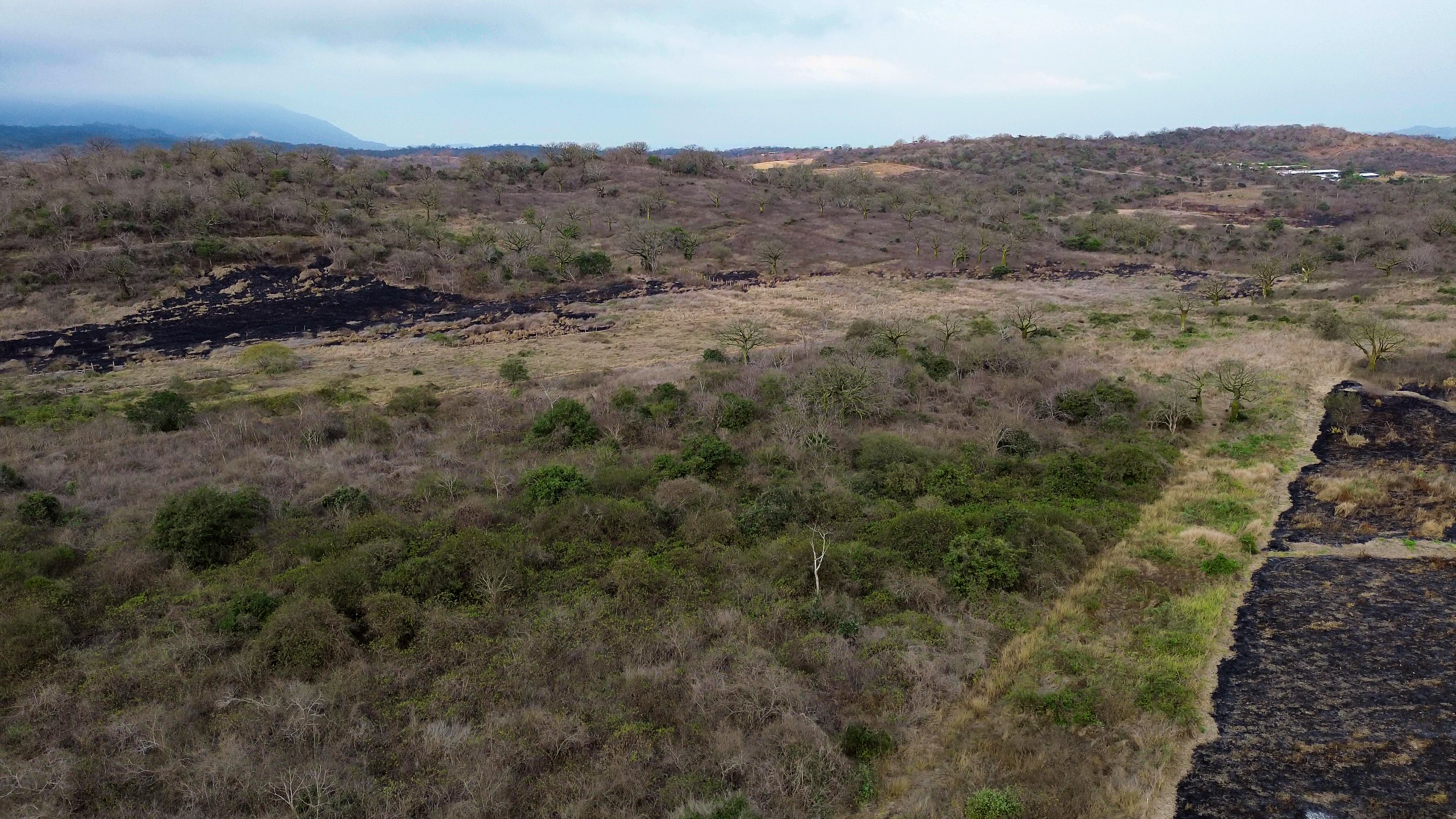 Terreno La Pila 1