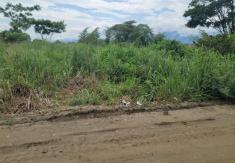 Terreno en la Calle Tercera Longitudinal, Sector Lotización Sara Cavero El Oro . Santa Rosa 200 m2