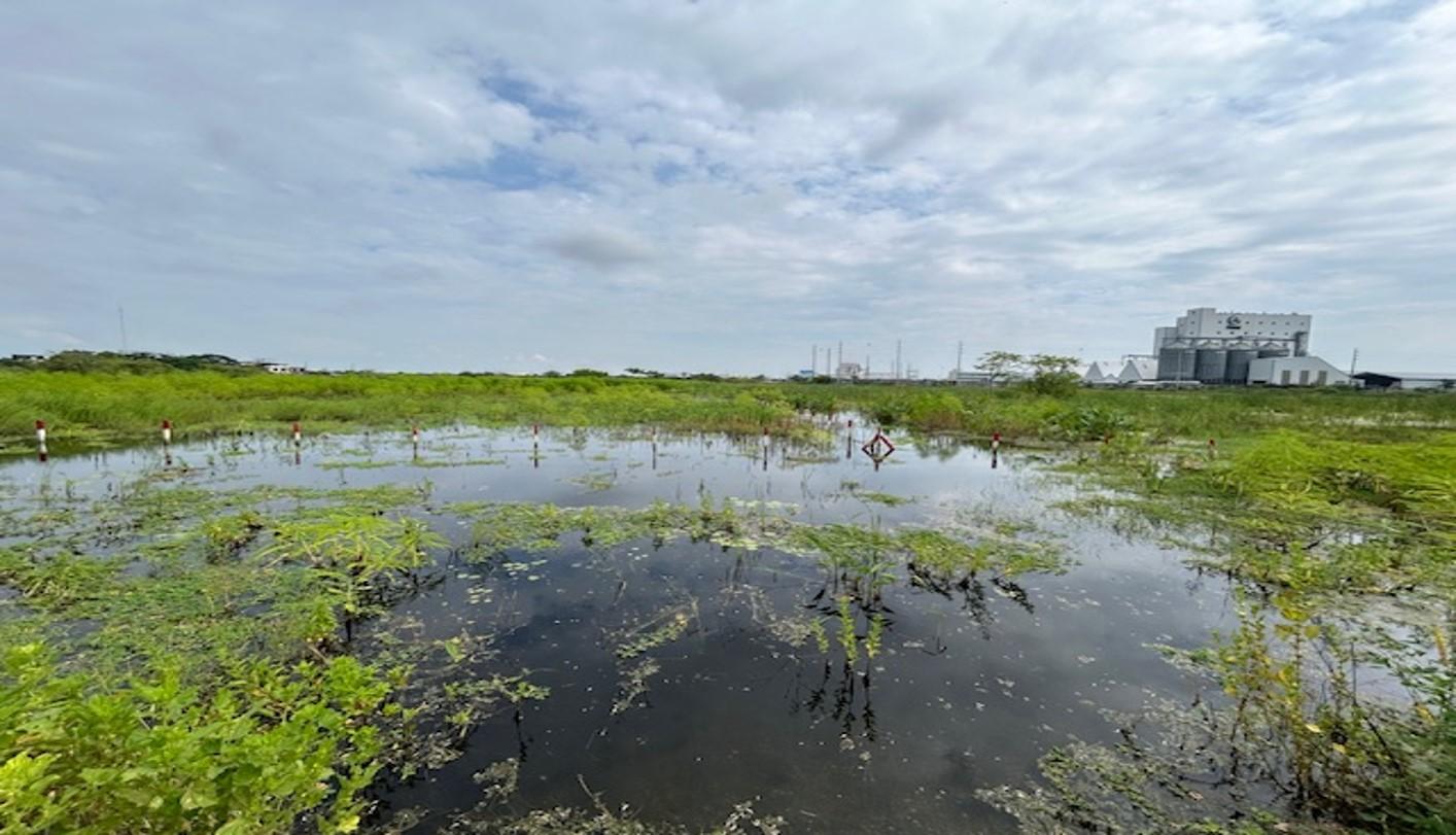 Terreno de 3.000 m² en zona industrial consolidada – Las Brisas, Durán LOTE 57