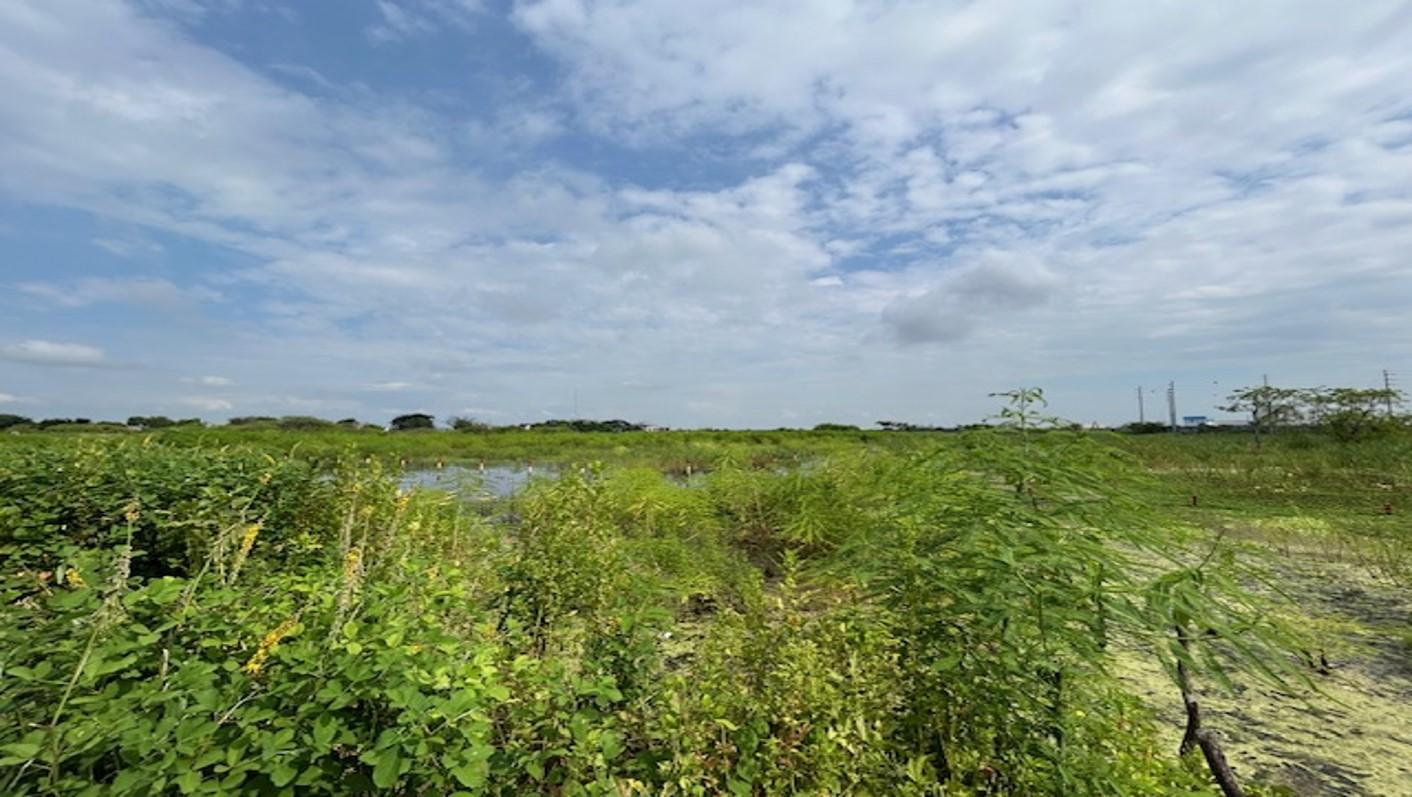 Terreno plano y delimitado – 3.000 m² en Las Brisas, Durán Lote 69