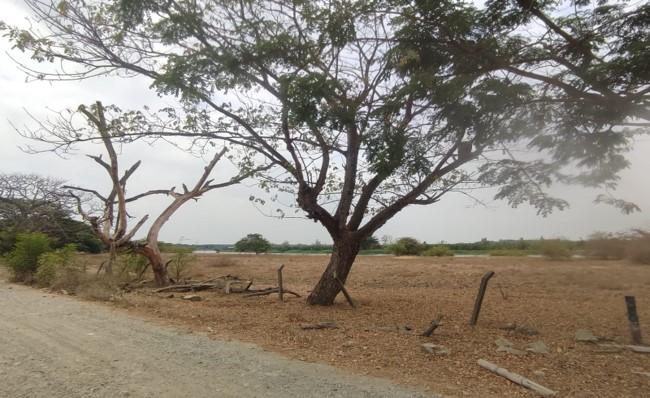 Terrenos en Guayas, Daule, Nobol lotización los canales Km 5