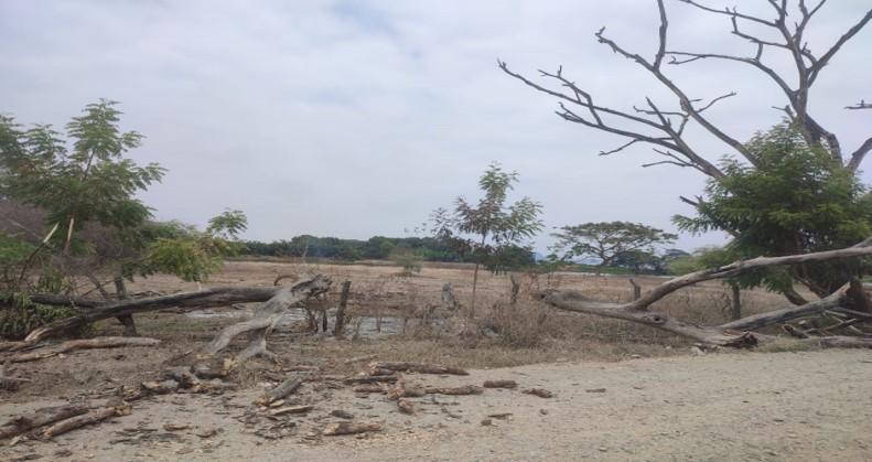 Terrenos en Guayas, Daule, Nobol lotización los canales Km 5