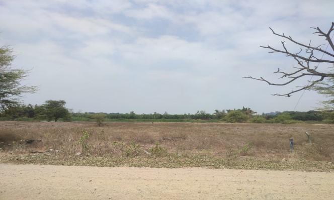 Terrenos en Guayas, Daule, Nobol lotización los canales Km 5