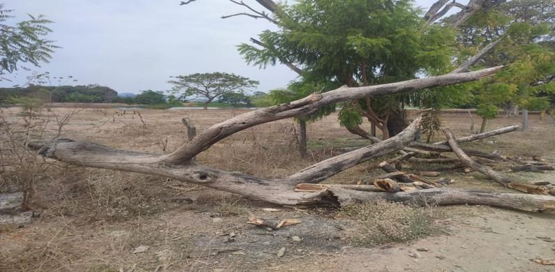 Terrenos en Guayas, Daule, Nobol lotización los canales Km 5