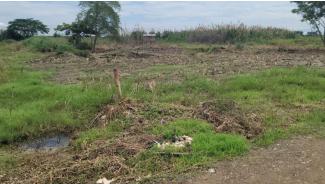Terreno en la Calle Tercera Longitudinal, Sector Lotización Sara Cavero El Oro . Santa Rosa 200 m2