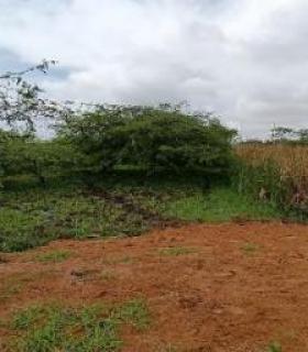 Terreno plano y delimitado – 3.000 m² en Las Brisas, Durán Lote 69