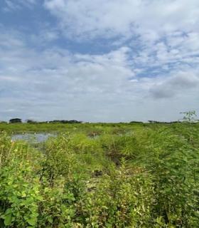 Terreno de 3.000 m² en zona industrial consolidada – Las Brisas, Durán LOTE 57