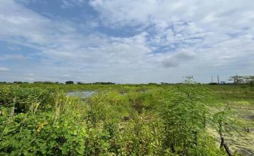Terreno de 3.000 m² en zona industrial consolidada – Las Brisas, Durán LOTE 57