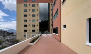 Depar el Bosque