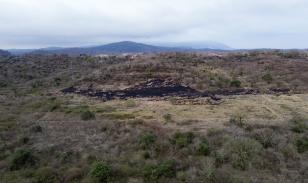 Terreno La Pila 6