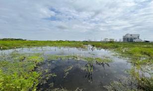 Terreno de 3.000 m² en zona industrial consolidada – Las Brisas, Durán LOTE 57