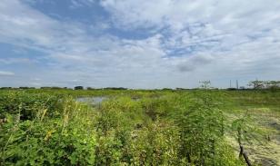Oportunidad de inversión: terreno de 3.000 m² en sector industrial de Durán LOTE 68